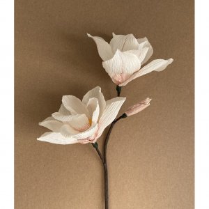 Handmade Crepe paper Magnolia's kit, DIY at your home with video tutorial