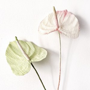 Handmade Crepe paper Anthurium Flower Digital Template with video tutorial, Flamingo Flower template,  Flower Decoration , wedding bouquet, DIY tropical flower