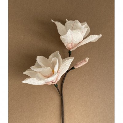 Handmade Crepe paper Magnolia's kit, DIY at your home with video tutorial