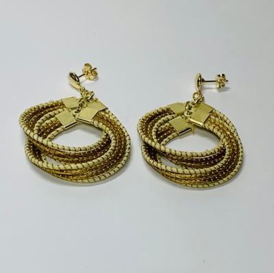 Double Hoop Earring