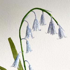 Handmade Crepe paper Spanish & English Native Bluebells Digital Template with video tutorial, bluebell flower template,  Flower Decoration , wedding bouquet