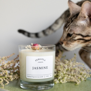 Jasmine - Scented Soy Candle for Christmas  - Handmade Candle - Natural Candle - Vegan Candle - Dried Flowers